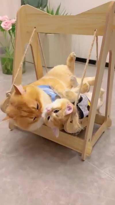 NMC, but very sweet BSH behavior