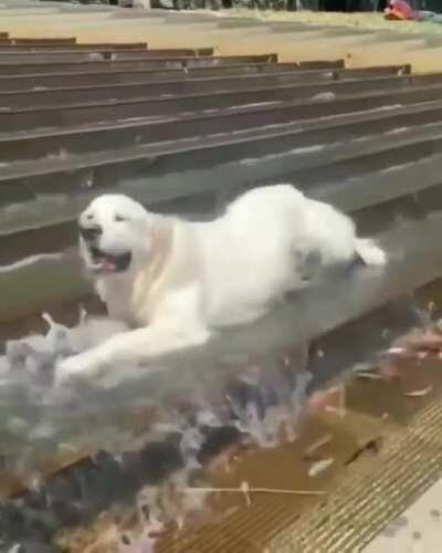 Cooling off at the park