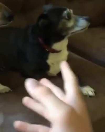 BeelcitosMemes - Video #9176