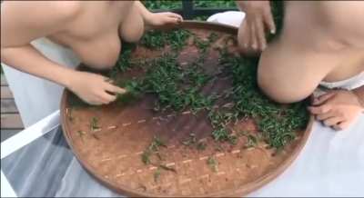 How to make authentic milk tea