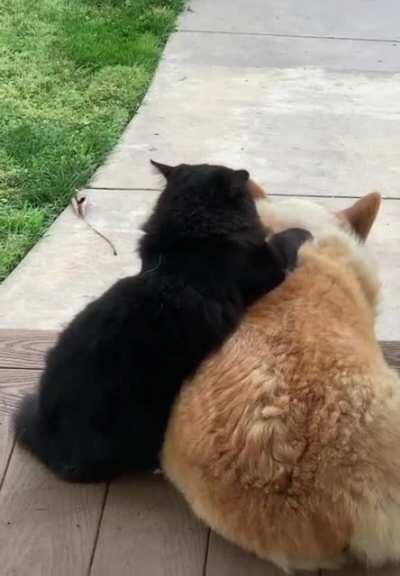 Anyone want some bread? Biscuits?