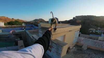 so you have chosen death