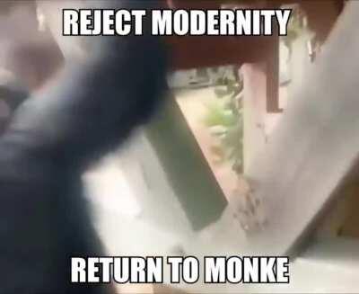 Rejeite a humanidade volte para o macaco