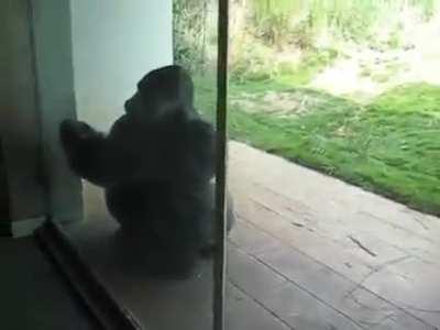 when you get hit by Spin R move