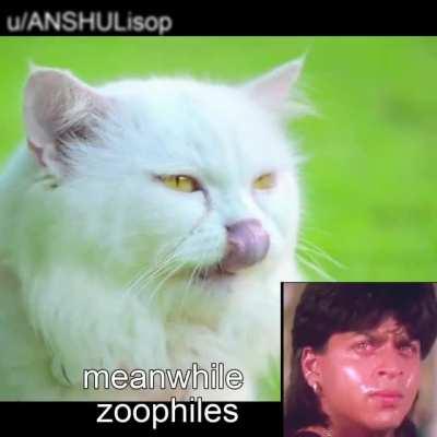 top 5 Indian TV serials (OC meymey)