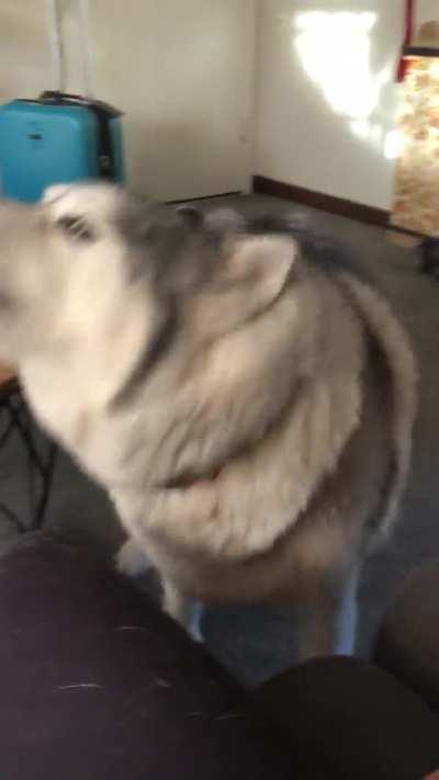 Sherlock argues too much