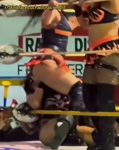 Stinkface Lady Maravilla a Tuskana