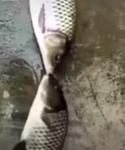 so sexy 😍🥰😯🥵