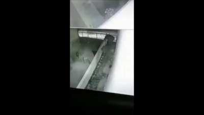 The Demogorgon is an unidentified Killer, able to open multiple Portals and traverse between them to cover large distances. Using its Power, Of the Abyss, it can detect any Survivors within a close proximity to the Portals then unleash a leaping attack to