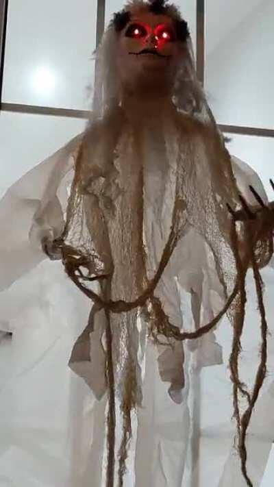 Friends Halloween decoration sounds like sex doll 😂 in Belfast.