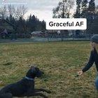 Impressive jump nonetheless