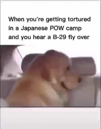 Is friendly fire on?