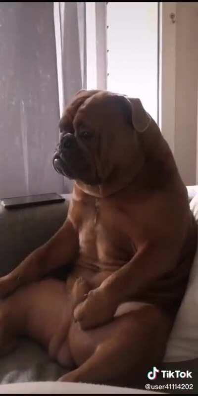 Why does he look like my grandad?