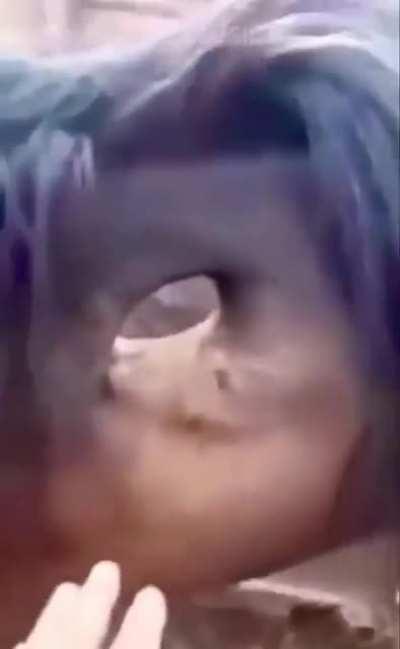 T-there’s a hole in the horse