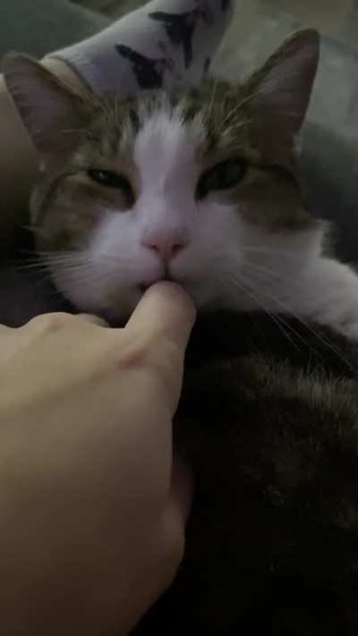 My boy Collin purring it up!