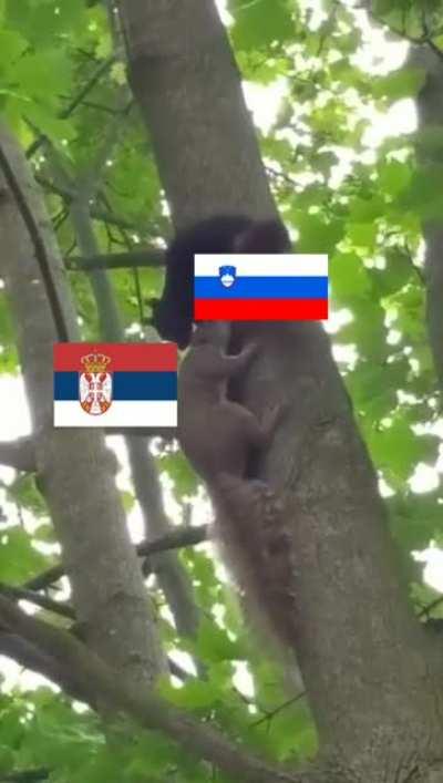 Best Friends 🏳️‍🌈🇸🇮♥️🇷🇸🏳️‍🌈♥️🌈