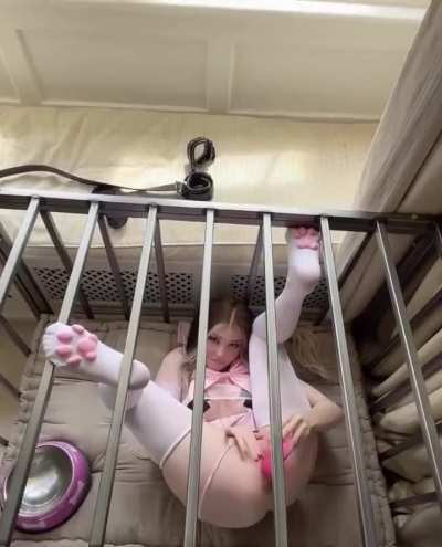 She has her own little cage and never wants to leave it...