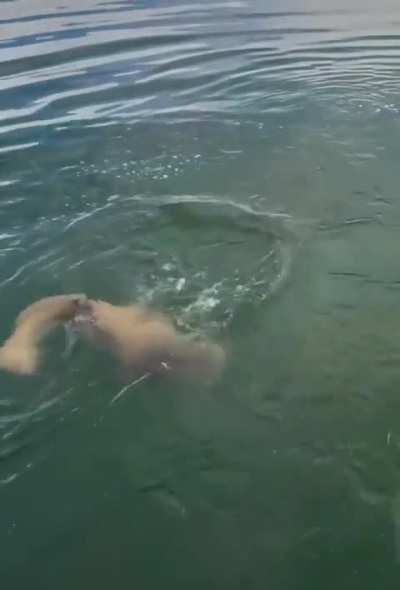 When you are trying to get the fish onboard.