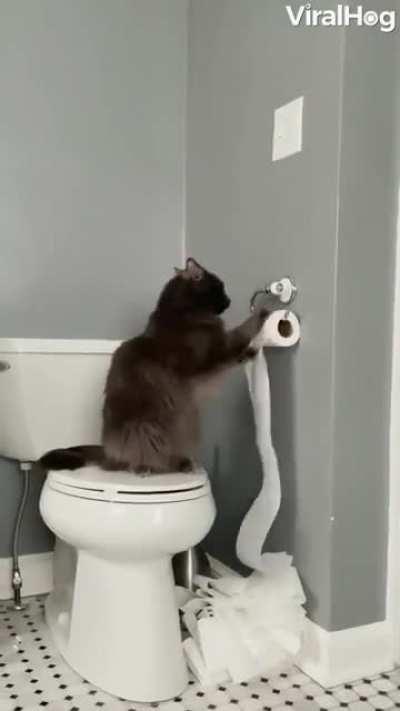 Here's all the proof you need.