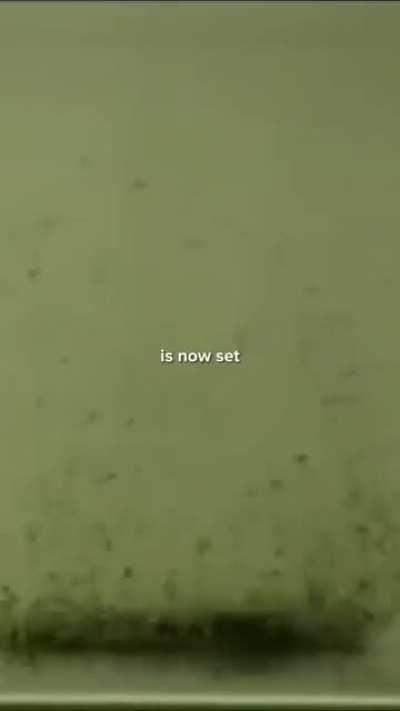 The comments are cringe too