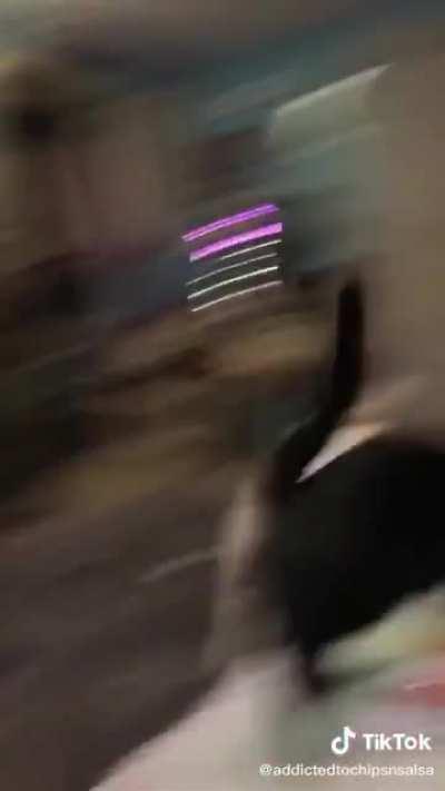 Cat doesn't really like the new carpet.