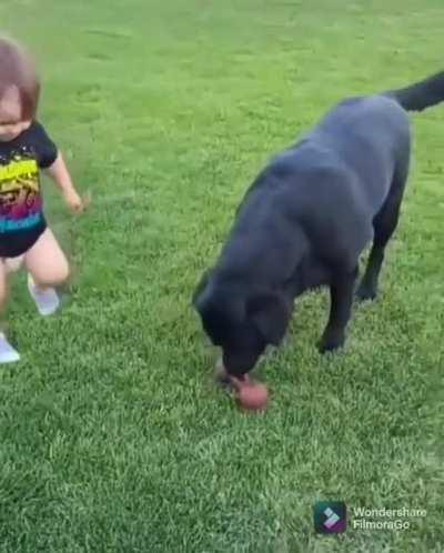 HMJB while I take the toy back