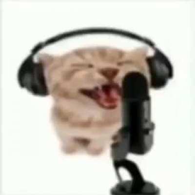 Certified hood classic