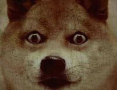 Le Disturbing Doge VHS Horror has arrived