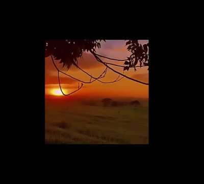 Please why did i wake up and decide to do this