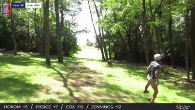 Why Are Trees? - A Montage