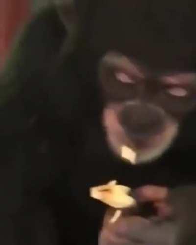 Combining what Joe fears the most with what Joe loves the most