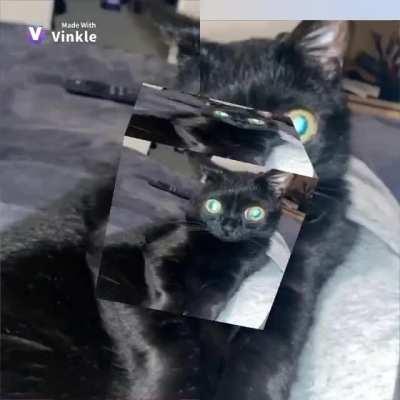 That's my Shit - Jinx