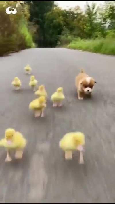 Just adorable n cute.