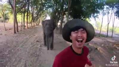 Out for a morning run with a baby elephant