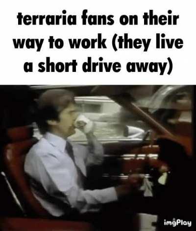 fucking terraria fans