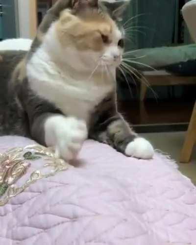 My bed. Mine. Not yours.