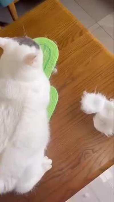 Forbidden pancakes...