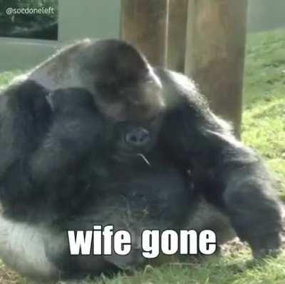 Türkiye'de kadına muamele in nutshell