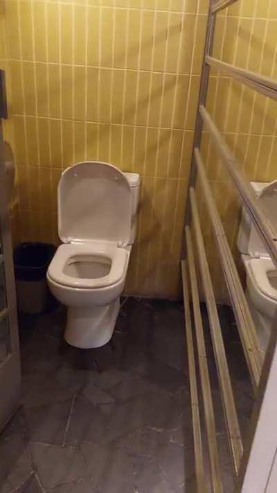 a very revealing toilet