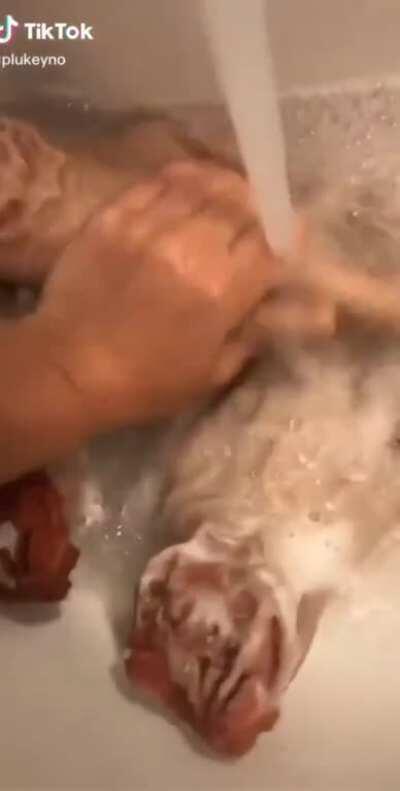 lavense las manos😎