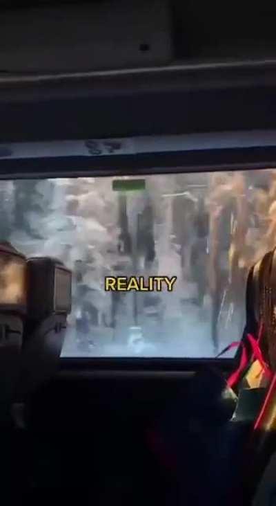 Реальность