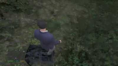 drove off a cliff and michael turned into tony hawk