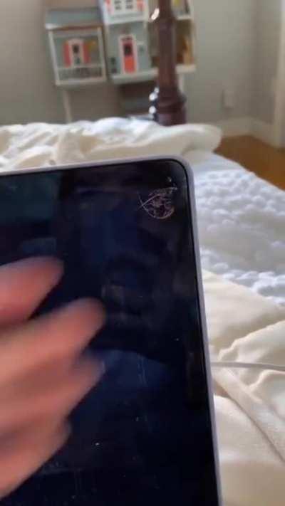 The cat broke the computer