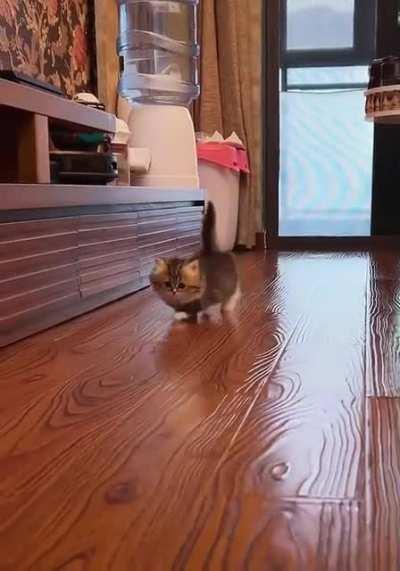 Still getting used to his new home