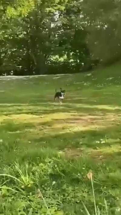 My serotonin was restored