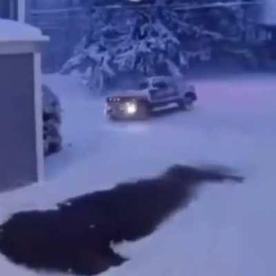 I'm going for an adventure. My truck people need me!