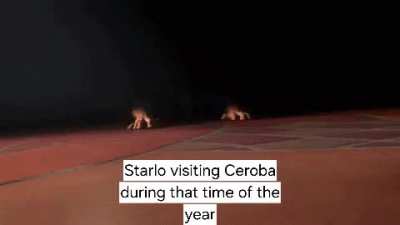 Idk what to put here