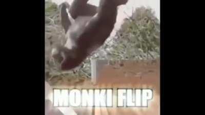 M O N K I F L I P