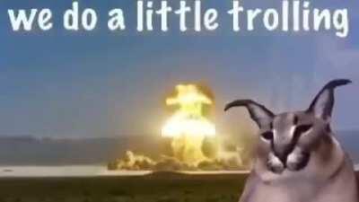 We are going a little trolling caw caw