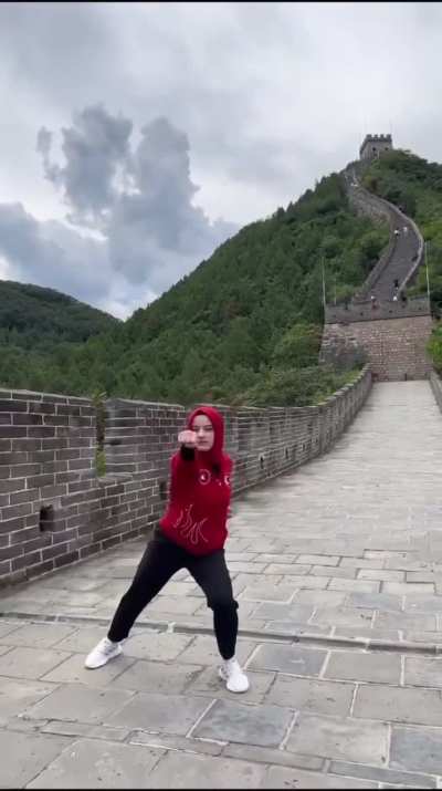 Video that got a lot of support in Turkey featuring a turkish women threatening china